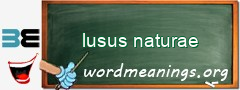 WordMeaning blackboard for lusus naturae